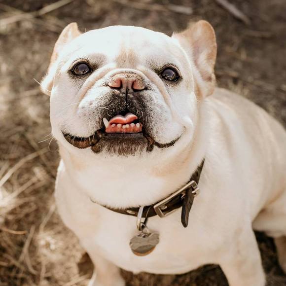 Meet your Posher, Tracey - Picture 1 of 1